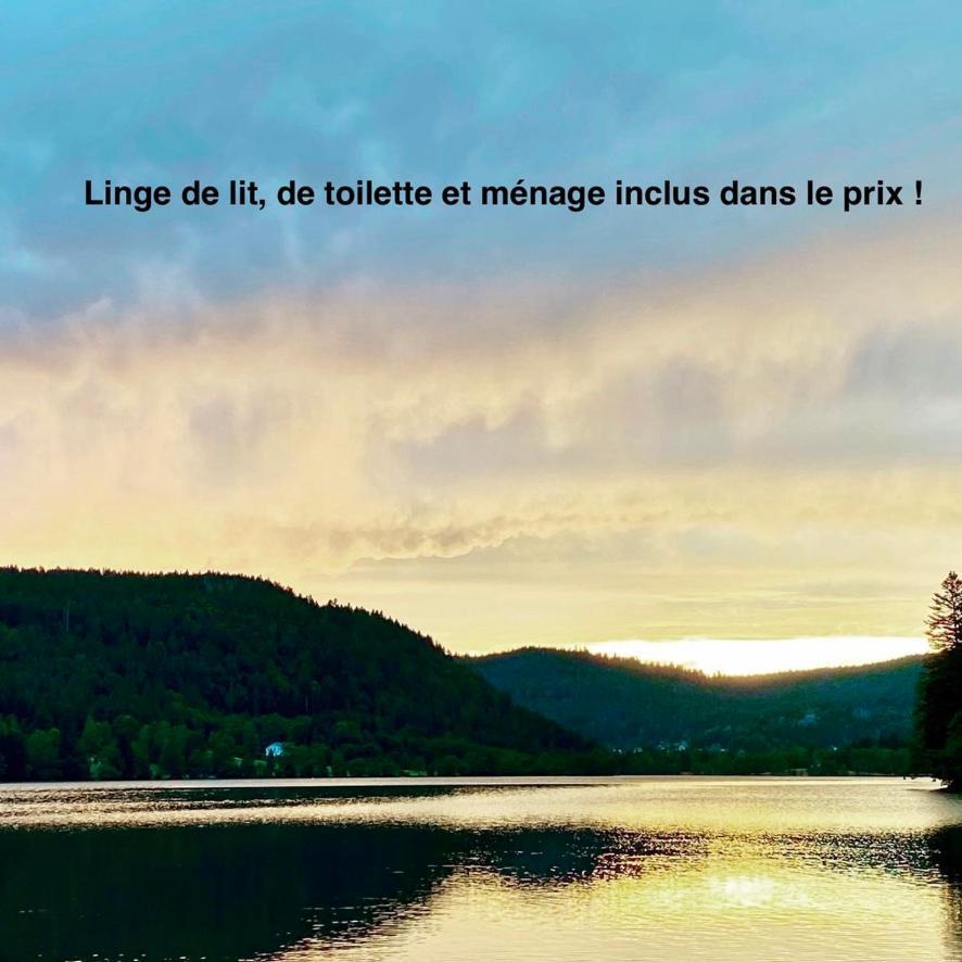 Le Bois Des Neiges Charmant Chalet Authentique A 5 Mn De Gerardmer 종루프 롱지메르 외부 사진